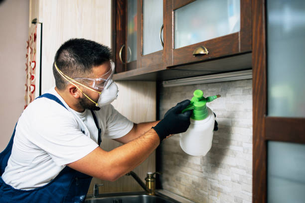  Kechi, KS Pest Control Pros