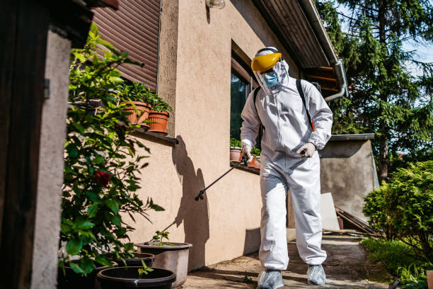 Best Mosquito Control Services  in Kechi, KS