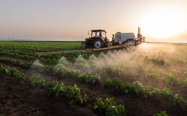 Professional Pest Control in Kechi, KS