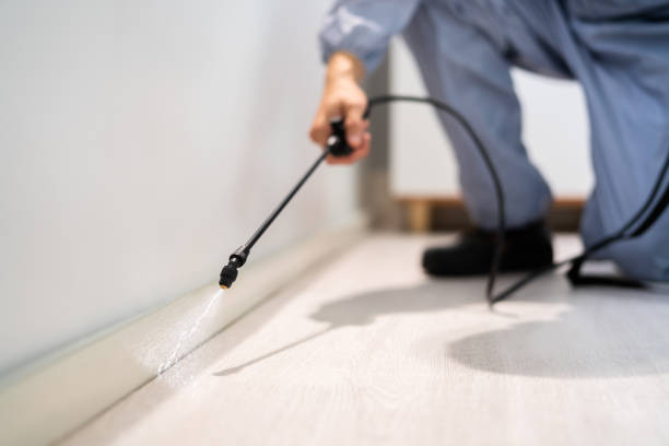 Best Commercial Pest Control Services  in Kechi, KS