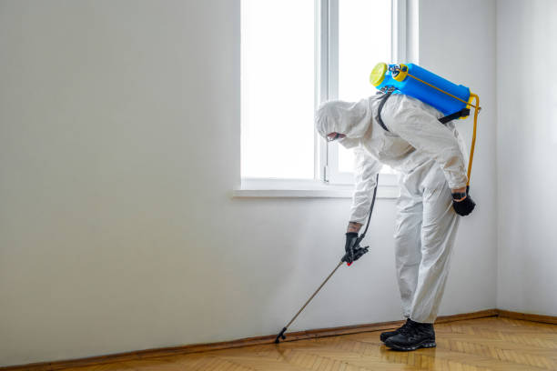 Best Residential Pest Control  in Kechi, KS
