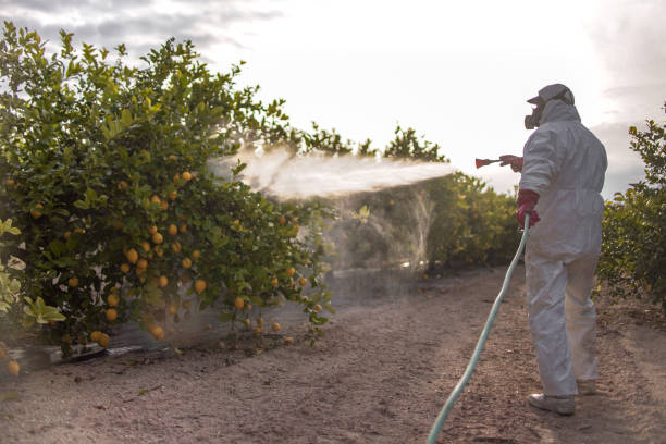 Best Cockroach Control Services  in Kechi, KS