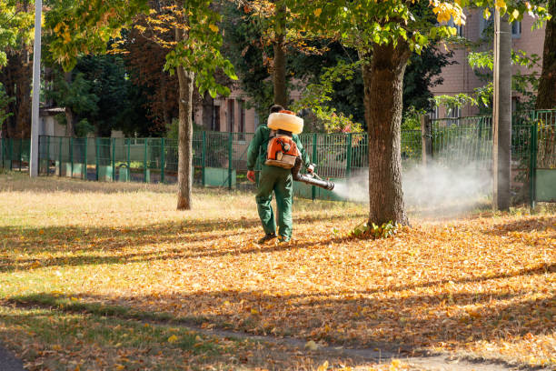 Best Best Pest Control Near Me  in Kechi, KS