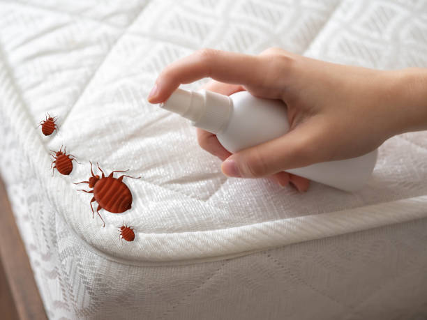 Best Pest Control Near Me  in Kechi, KS