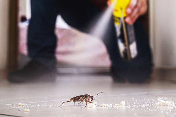 Best Pest Removal Services  in Kechi, KS