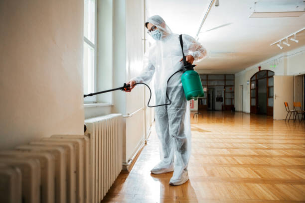 Best Termite Control Services  in Kechi, KS